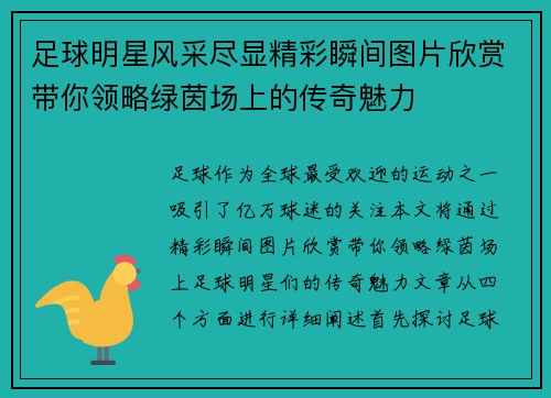足球明星风采尽显精彩瞬间图片欣赏带你领略绿茵场上的传奇魅力